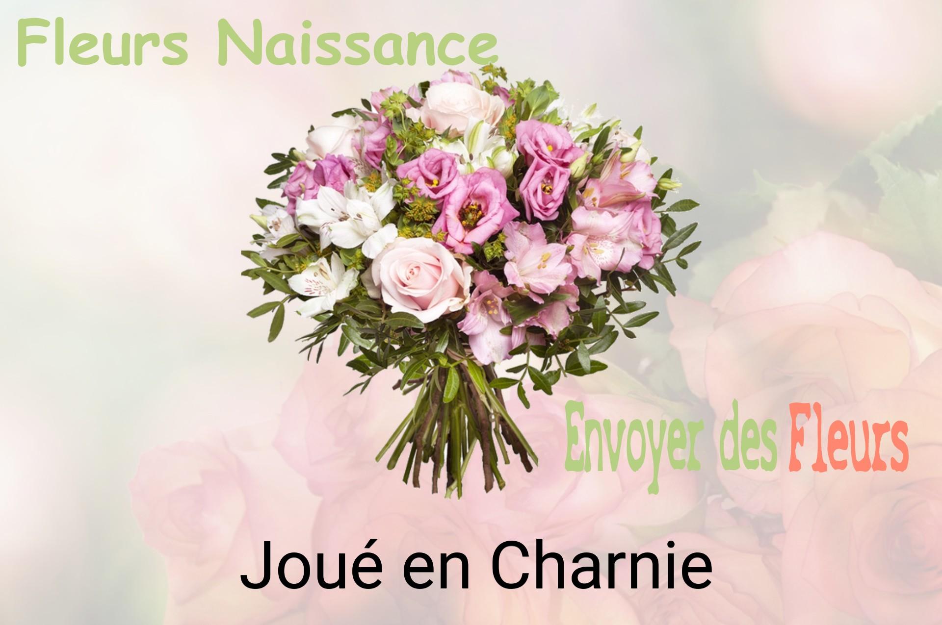 Bouquet de fleurs de naissance livré à Joué-en-Charnie