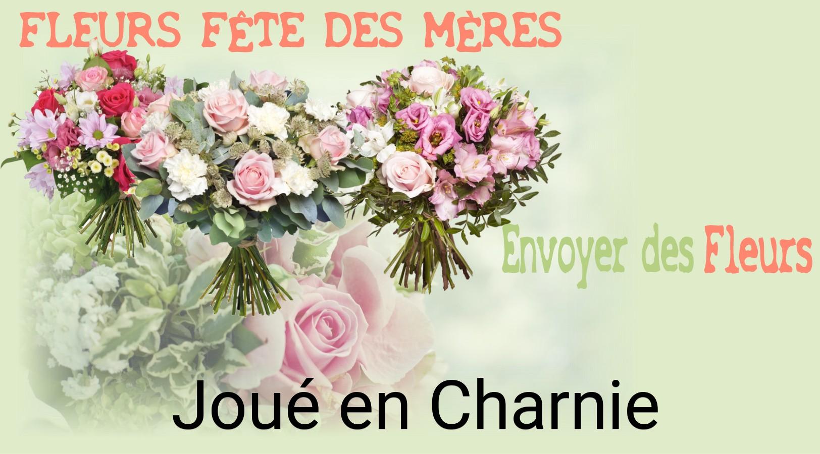 Bouquet de Fête des Mères livré à Joué-en-Charnie